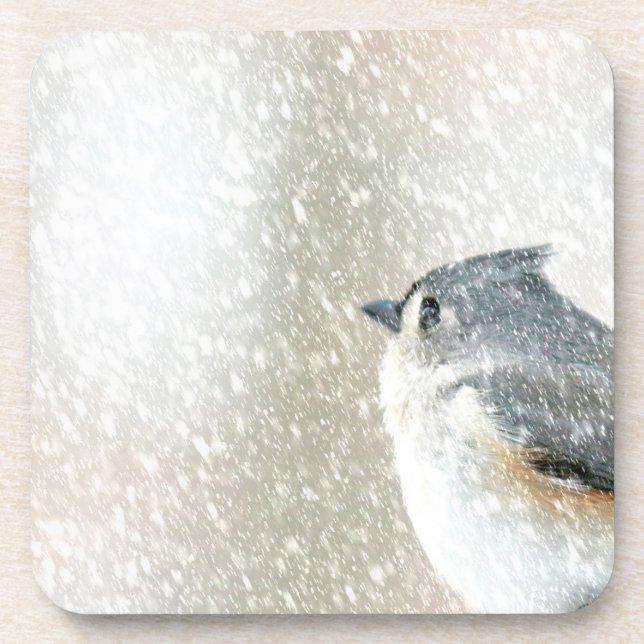 Posavasos Pájaro de la nieve (Frente)