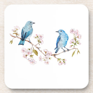 Posavasos Pájaros azules de montaña en la rama de Sakura