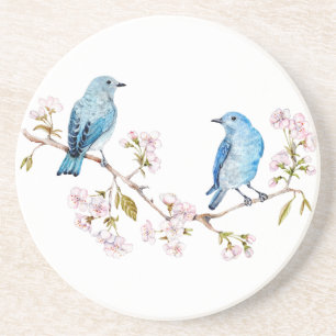 Posavasos Pájaros azules de montaña en la rama de Sakura