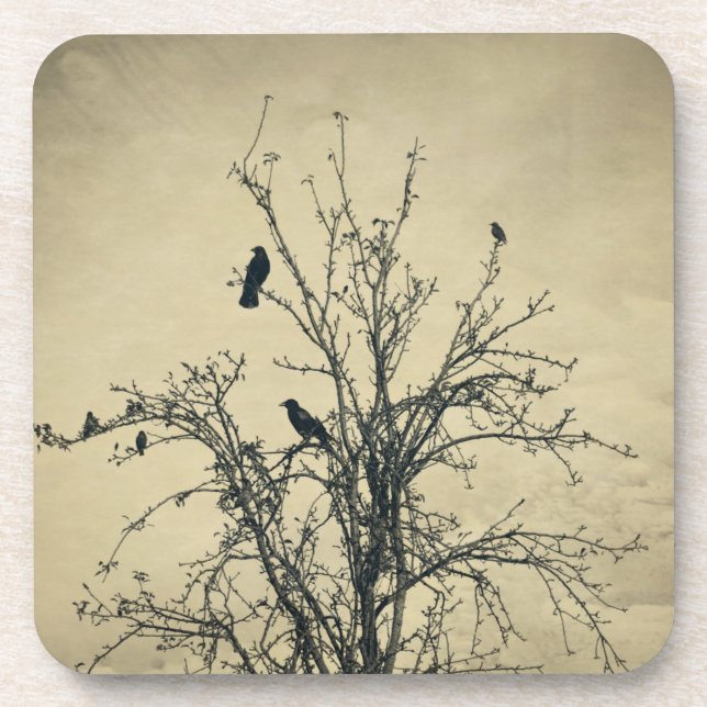 Posavasos Pájaros en el árbol   -     (Frente)