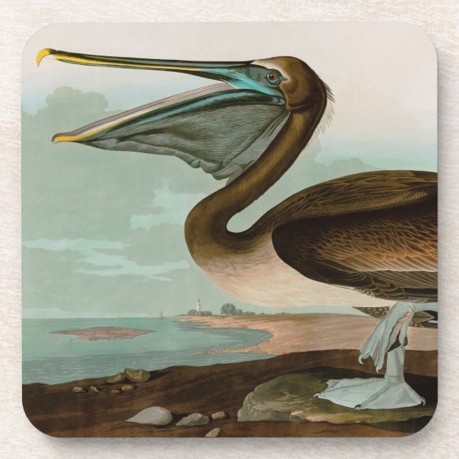 Posavasos Pájaros pelícanos marrones de América Impresión Au (Frente)