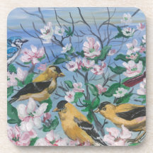 Pájaros pinzón amarillo florece 