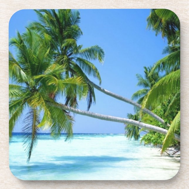 Posavasos ¡Palm Beach tropical! (Frente)