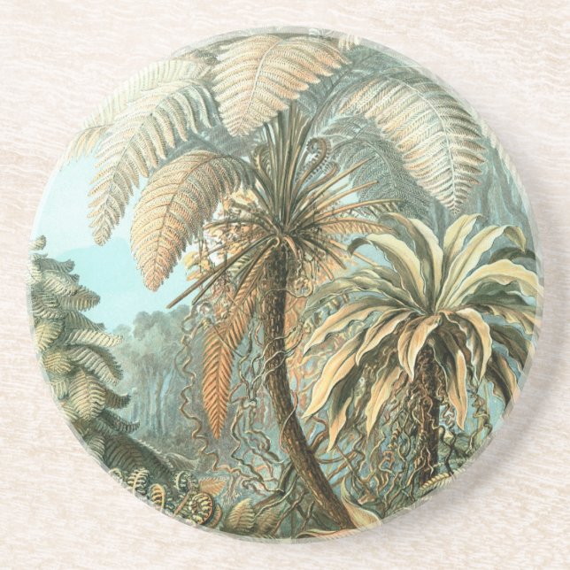 Posavasos Palm Trees de Haeckel (Frente)