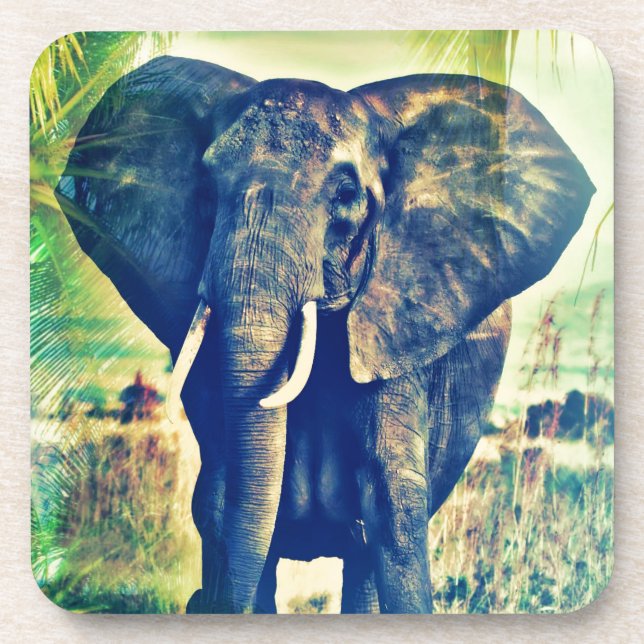 Posavasos Palmas elefantes (Frente)