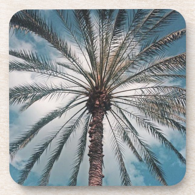 Posavasos Palmera tropical - (Frente)