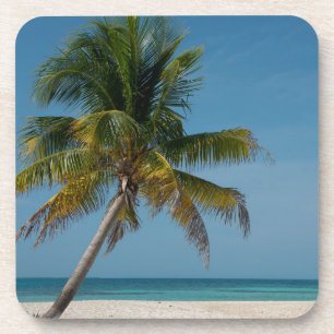 Posavasos Palmera y playa de arena blanca 2