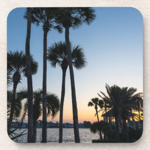 Posavasos Palmeras Sunrise Destin Florida Coasters Set 6