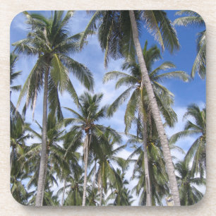 Posavasos Palmeras Tropicales