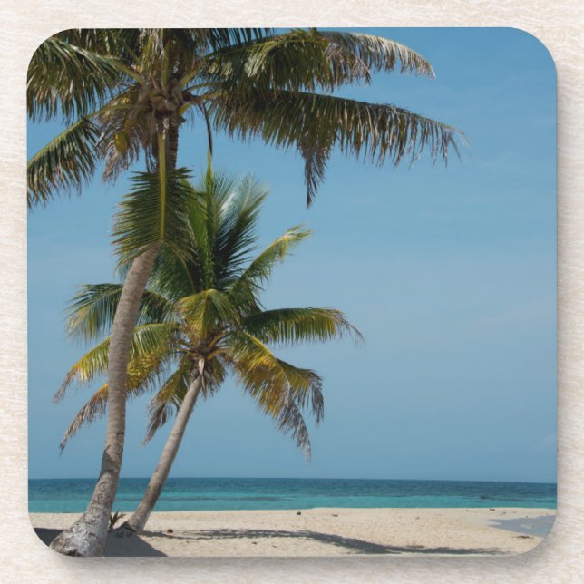 Posavasos Palmeras y playa de arena blanca (Frente)