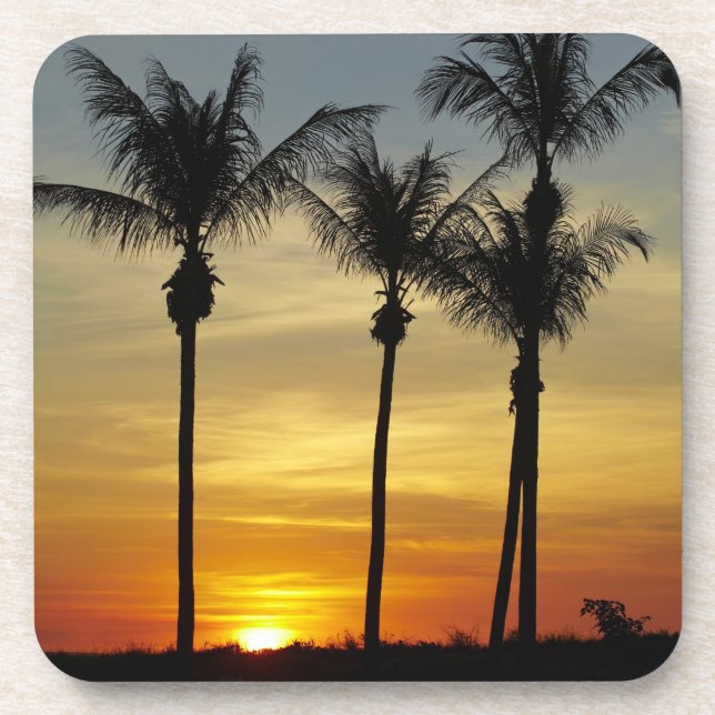 Posavasos Palmeras y puesta de sol, playa de Mindil (Frente)