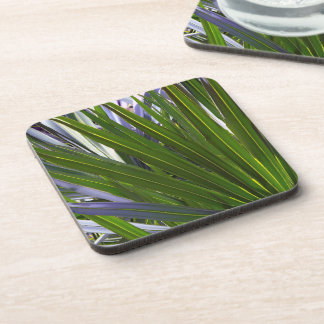 Posavasos Palmetto Tropicale