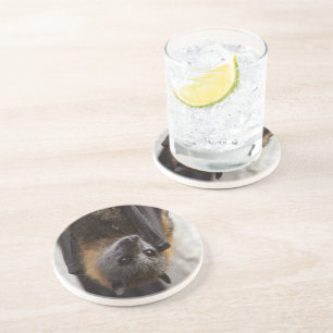 Posavasos Palo australiano