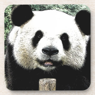Posavasos Panda