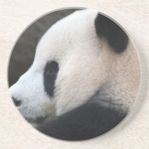 Posavasos Panda Bear Hugs