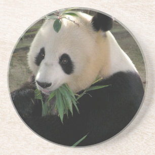 Posavasos Panda Bear Hugs