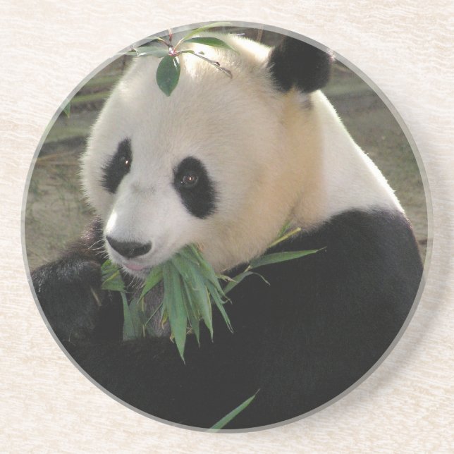 Posavasos Panda Bear Hugs (Frente)