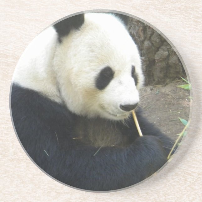 Posavasos Panda Coater (Frente)