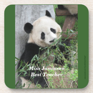 Posavasos Panda, mejor profesor, verde, conjunto de 6 