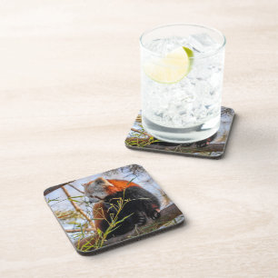 Posavasos Panda rojo