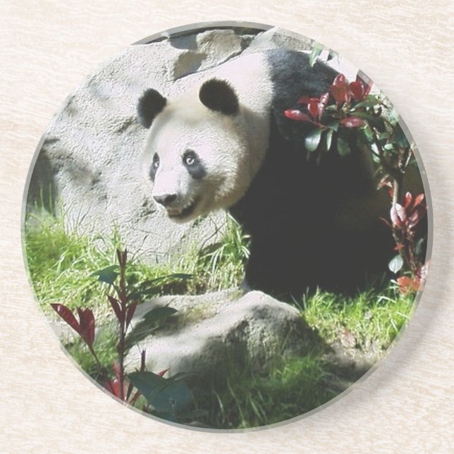 Posavasos Panda Smile (Frente)