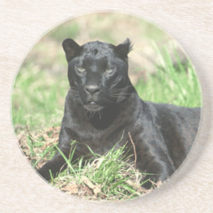 Posavasos Pantera negra