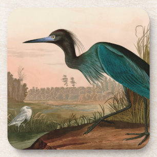 Posavasos Papel Audubon azul o garza perón en Estados Unido