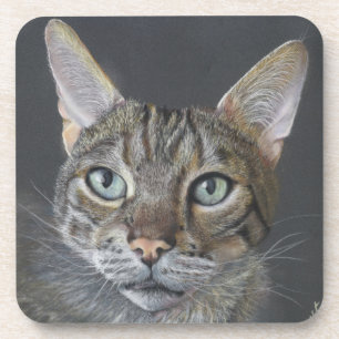 Posavasos para gato de Bengala