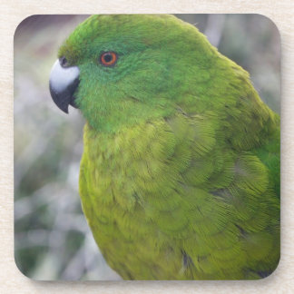 Posavasos Parakeet de la isla de contrarios