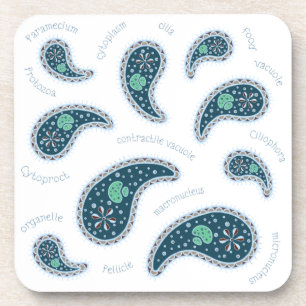 Posavasos Paramecia Paisley Protozoo Ciencia Biológica