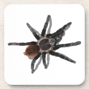 Posavasos Parásitos de la araña del mascota del coark del