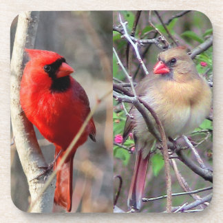 Posavasos Pareja cardinal