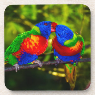 Posavasos Pareja Colorida de Loros Besándose