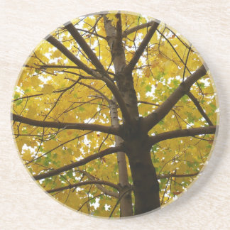 Posavasos Pareja de arce amarillo naturaleza otoñal