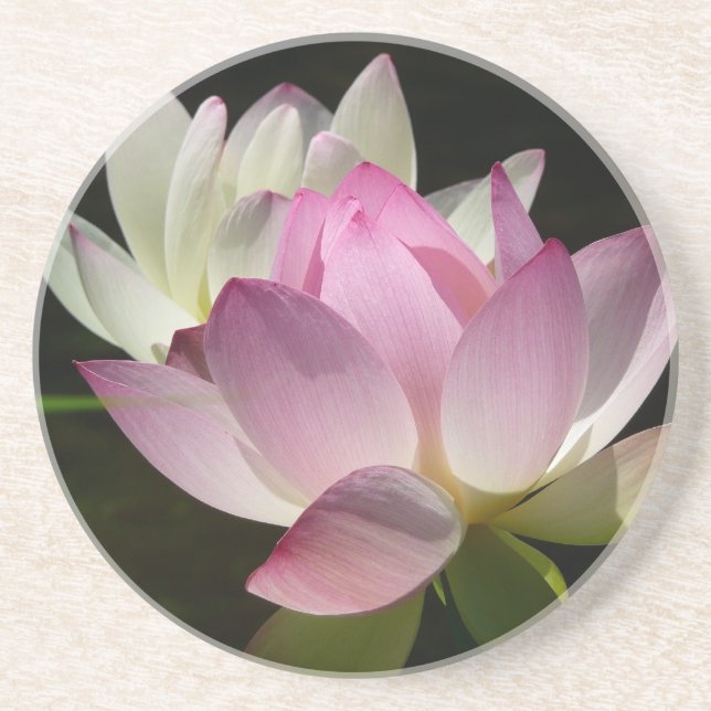 Posavasos Pareja de flores de Lotus II (Frente)