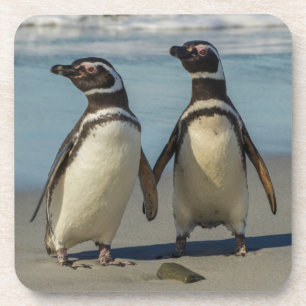 Posavasos Pareja de pingüinos en la playa