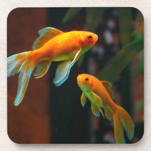 Posavasos Pares de Goldfish afortunado