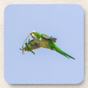 Posavasos Parque Monje en el Valle del Río Grande