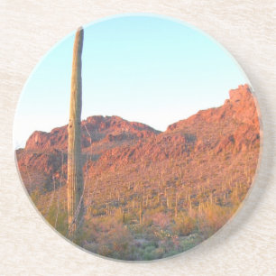 Posavasos Parque nacional de Saguaro