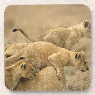 Posavasos Parque nacional de Serengeti, Tanzania 2