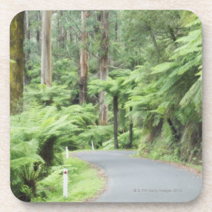 Posavasos Parque nacional de Tarra Bulga, gamas de