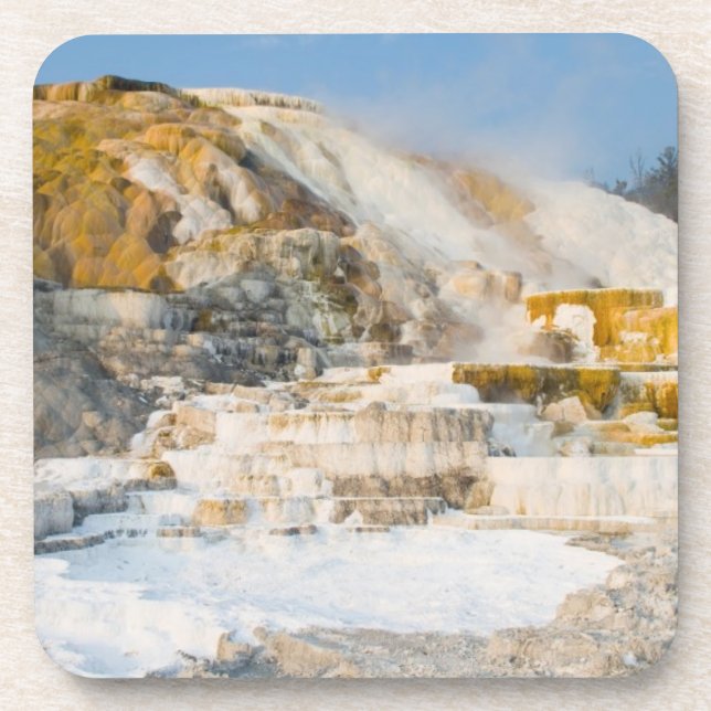 Posavasos Parque nacional de Yellowstone (Frente)