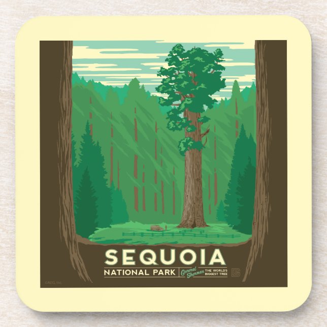 Posavasos Parque nacional Sequoia (Frente)
