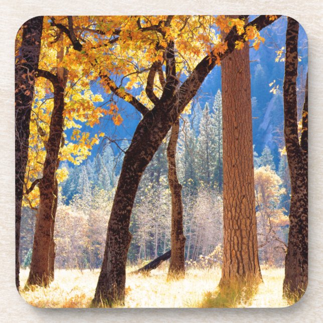 Posavasos Parque Nacional Yosemite (Frente)