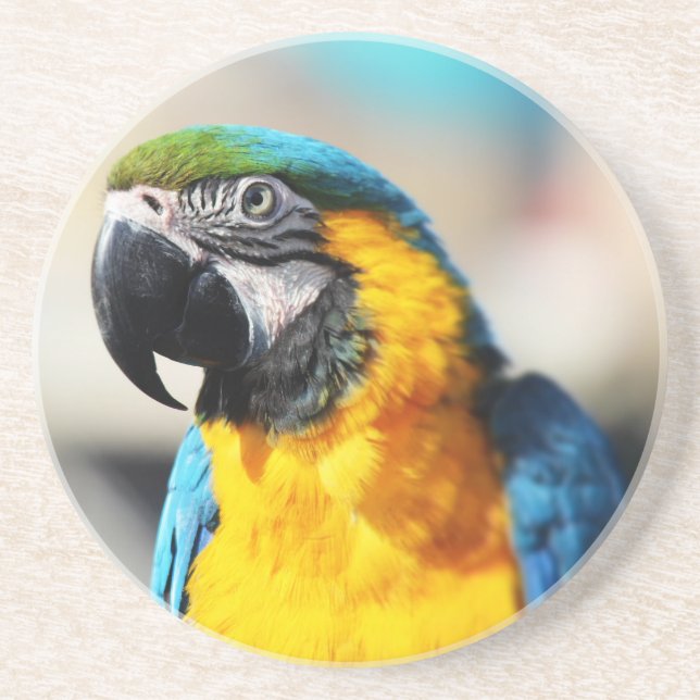 Posavasos parrot (Frente)