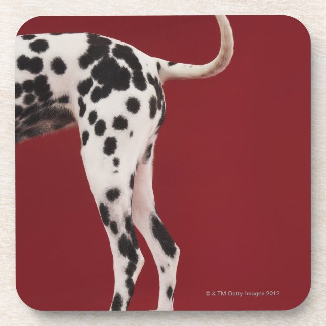 Posavasos Parte posterior del Dalmatian (Frente)