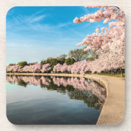 Posavasos Pasamanos de la escena de primavera