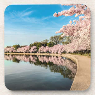 Posavasos Pasamanos de la escena de primavera