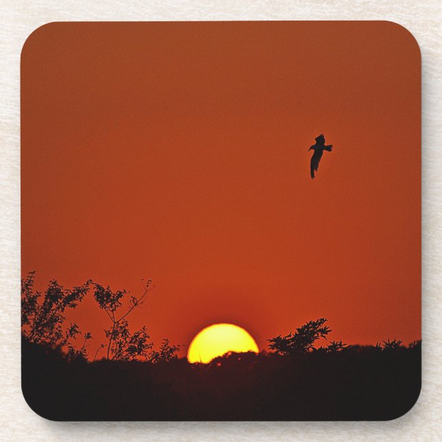 Posavasos Pasamanos de sol (Frente)