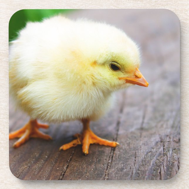 Posavasos Pascua (Frente)